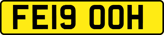 FE19OOH