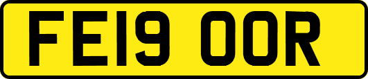 FE19OOR