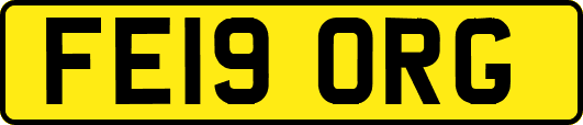 FE19ORG