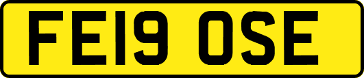 FE19OSE