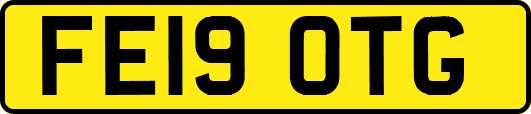 FE19OTG