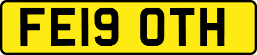 FE19OTH