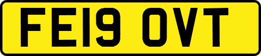 FE19OVT