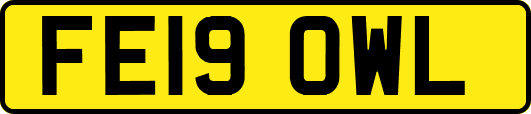 FE19OWL