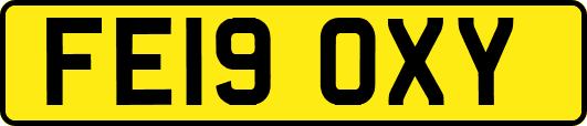 FE19OXY