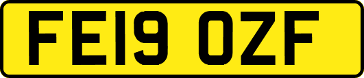FE19OZF