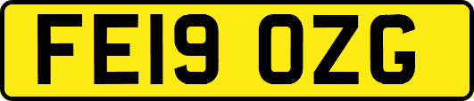 FE19OZG