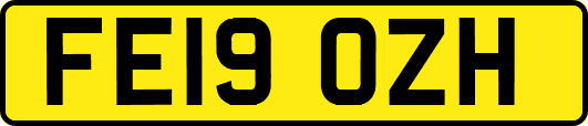 FE19OZH