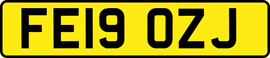 FE19OZJ