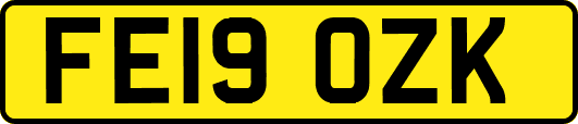 FE19OZK