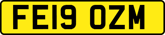 FE19OZM