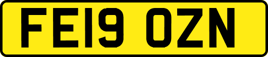 FE19OZN