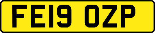 FE19OZP