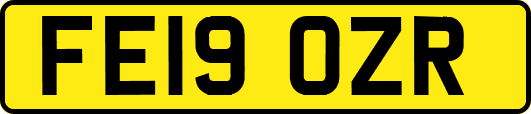 FE19OZR