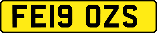 FE19OZS
