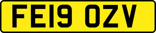 FE19OZV