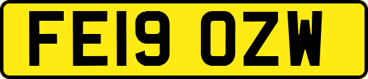 FE19OZW