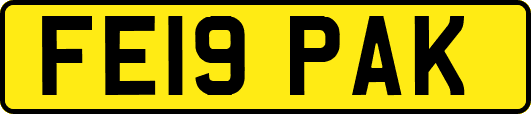FE19PAK