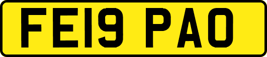 FE19PAO
