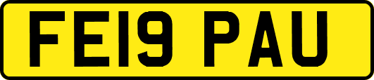 FE19PAU