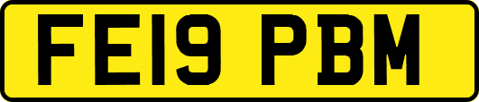 FE19PBM