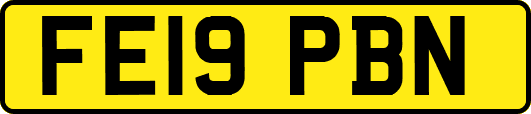 FE19PBN