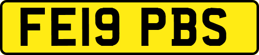 FE19PBS