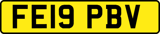 FE19PBV