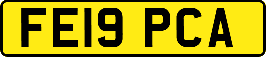 FE19PCA