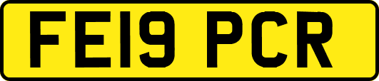 FE19PCR