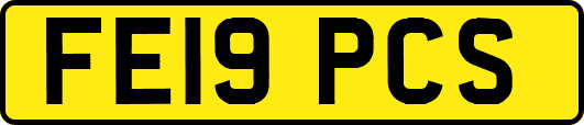 FE19PCS