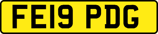 FE19PDG