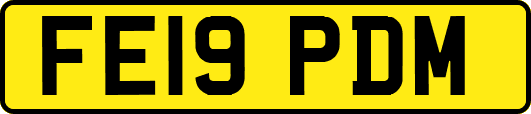 FE19PDM