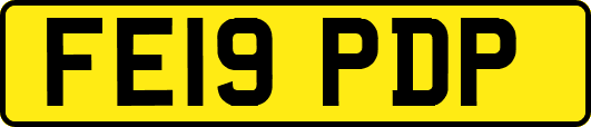 FE19PDP