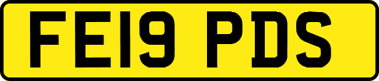 FE19PDS