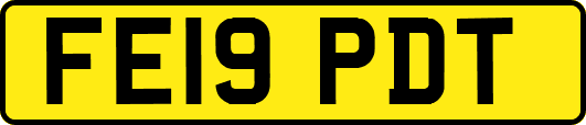 FE19PDT