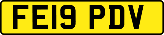 FE19PDV