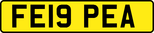 FE19PEA