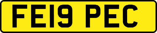 FE19PEC