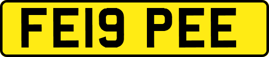 FE19PEE