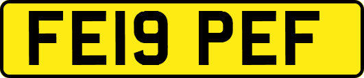FE19PEF