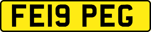 FE19PEG