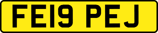 FE19PEJ