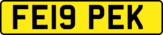 FE19PEK