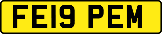 FE19PEM