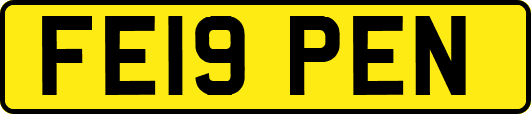 FE19PEN