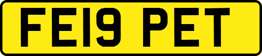FE19PET