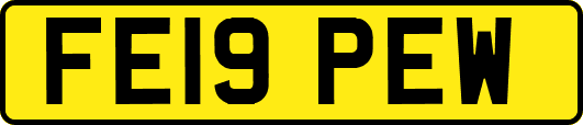 FE19PEW
