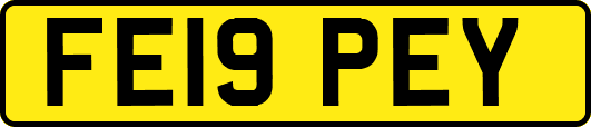 FE19PEY