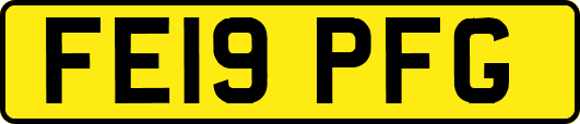 FE19PFG